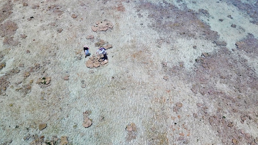 The reef from the air.