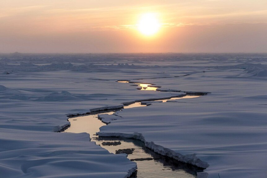 Arctic sea ice in 2015