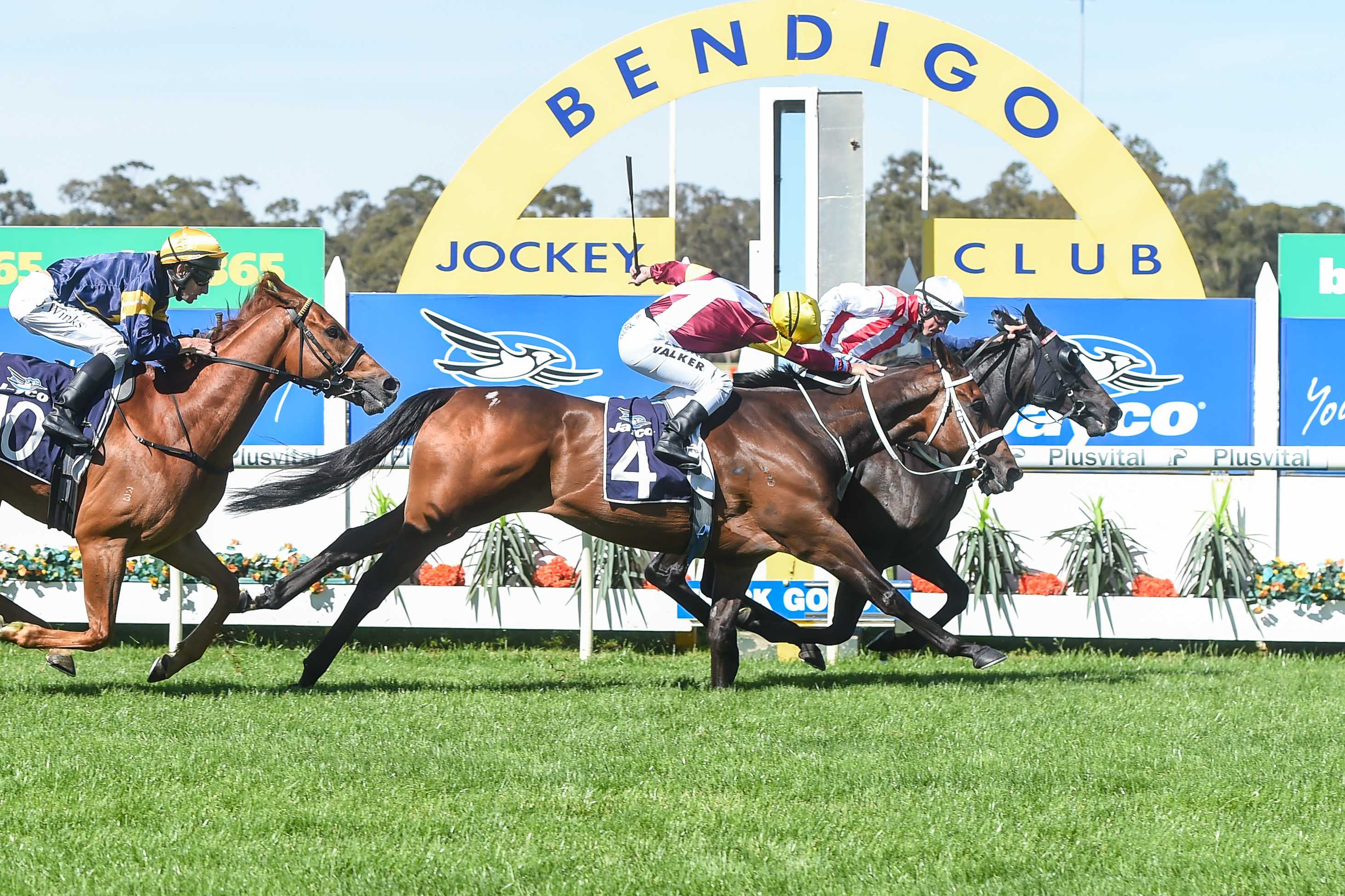 Bendigo Cup One Of The Last Chances To Secure Melbourne Cup Berth Abc News