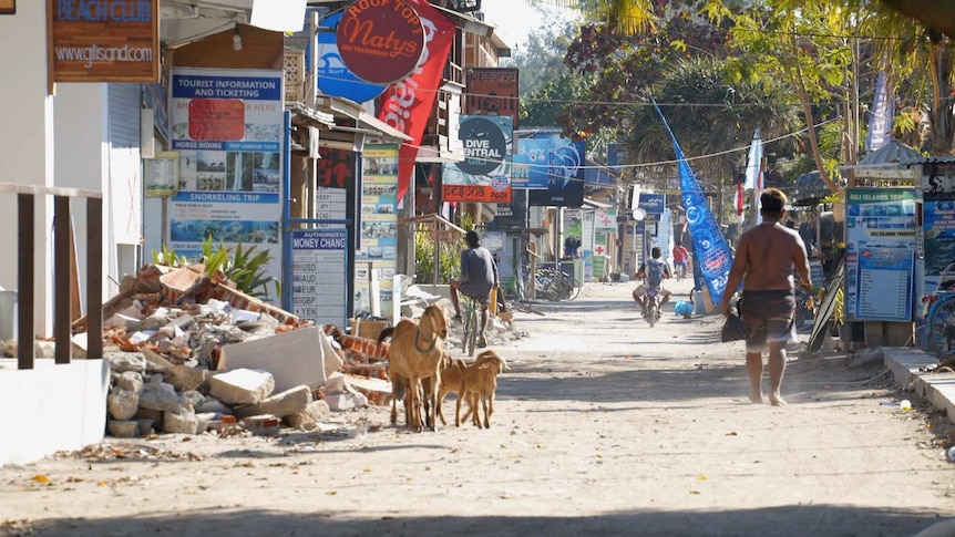 Goats walk down the street past ruins in Gili Trawangan