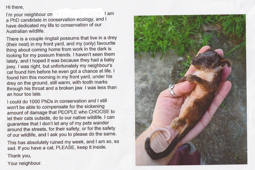 A picture of a possum killed by a cat and a note urging the writer's neighbours to keep their pets inside.