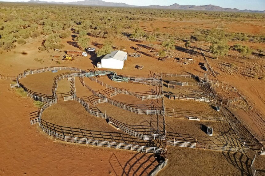 a view of cattle yards from the air with trees and a range on the horizon.