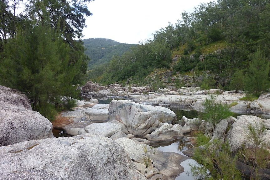 Looking out at the Coxs River in the Blue Mountains.