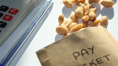 Productivity Commission inquiry will decide if executives are paid peanuts