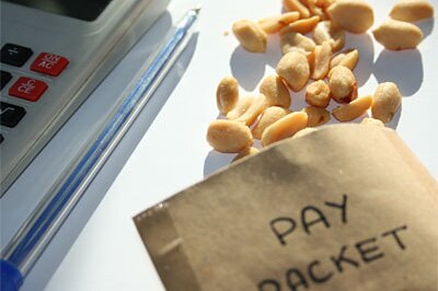 Productivity Commission inquiry will decide if executives are paid peanuts