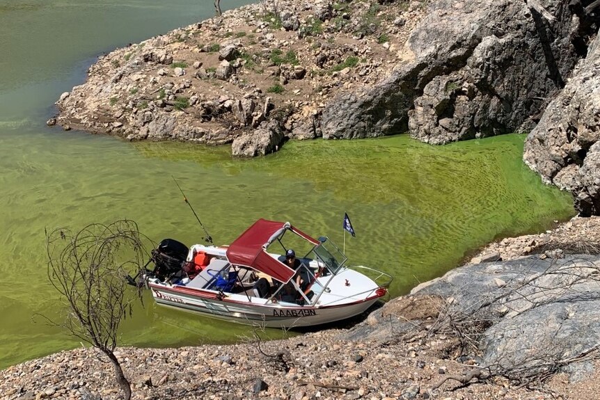Small fishing boat floating in green water, tied to rocks at the lake shore