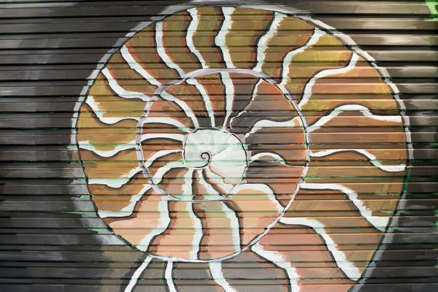 An ammonite (fossil) painted onto the corrugated surface of a roller door.