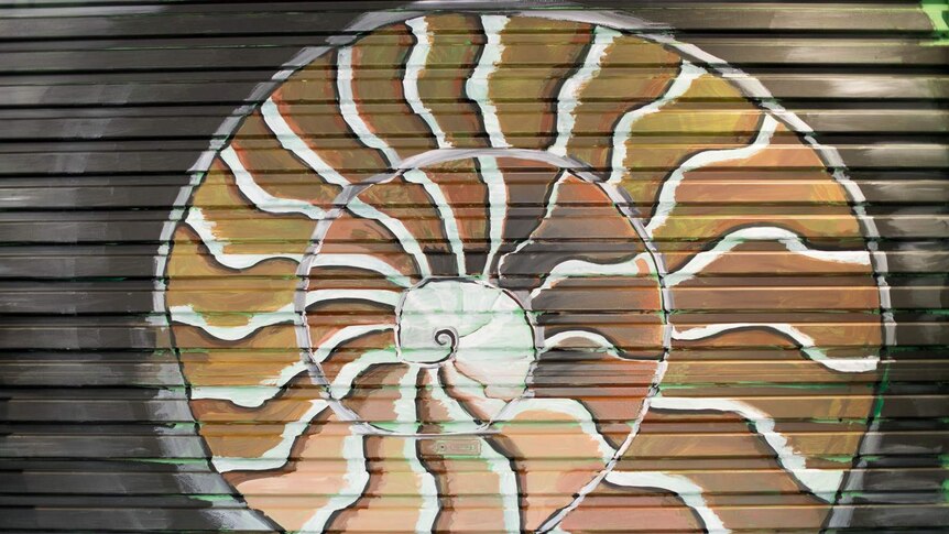 An ammonite (fossil) painted onto the corrugated surface of a roller door.