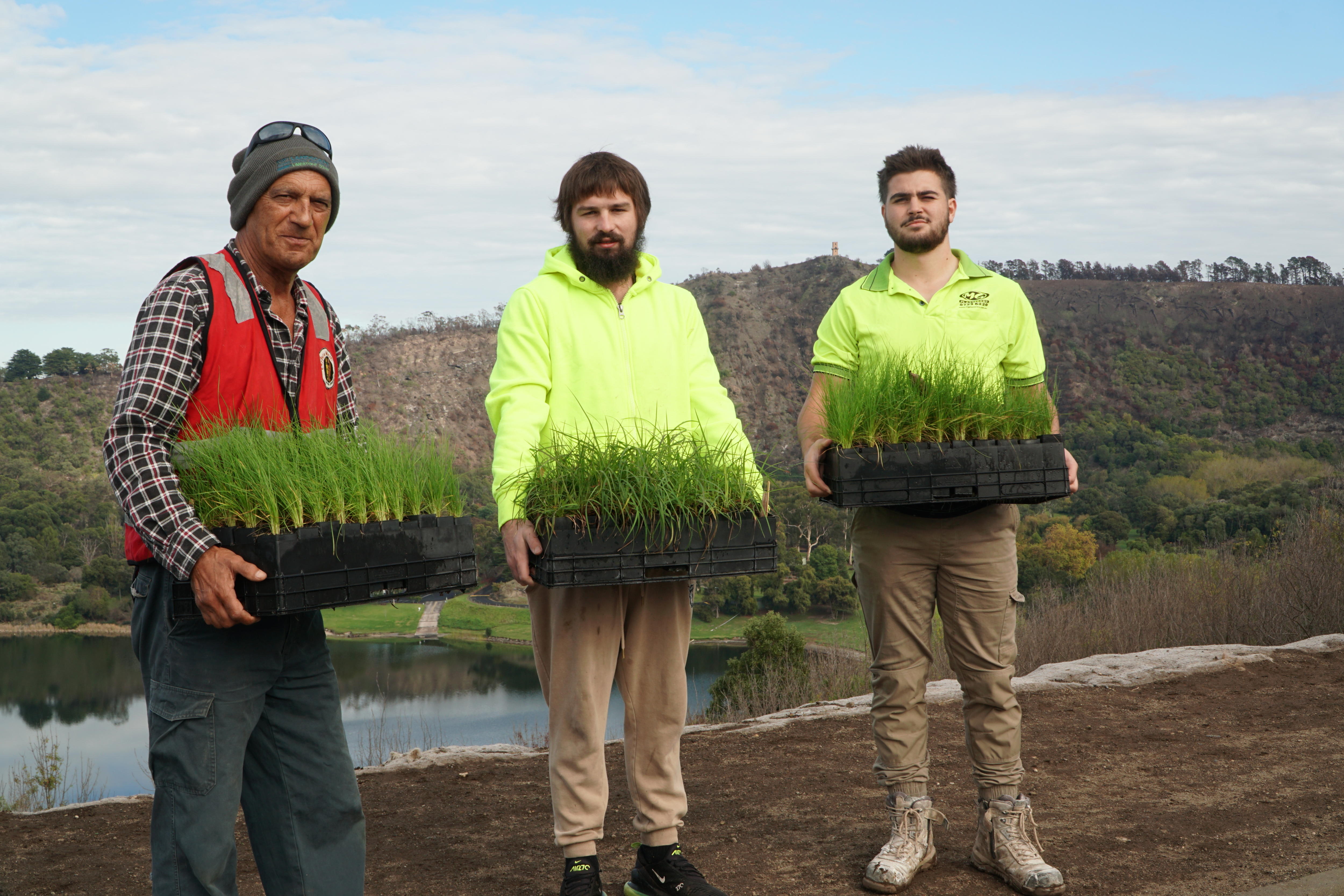 Revegetation project in volcano crater helps restore native grasses and ...