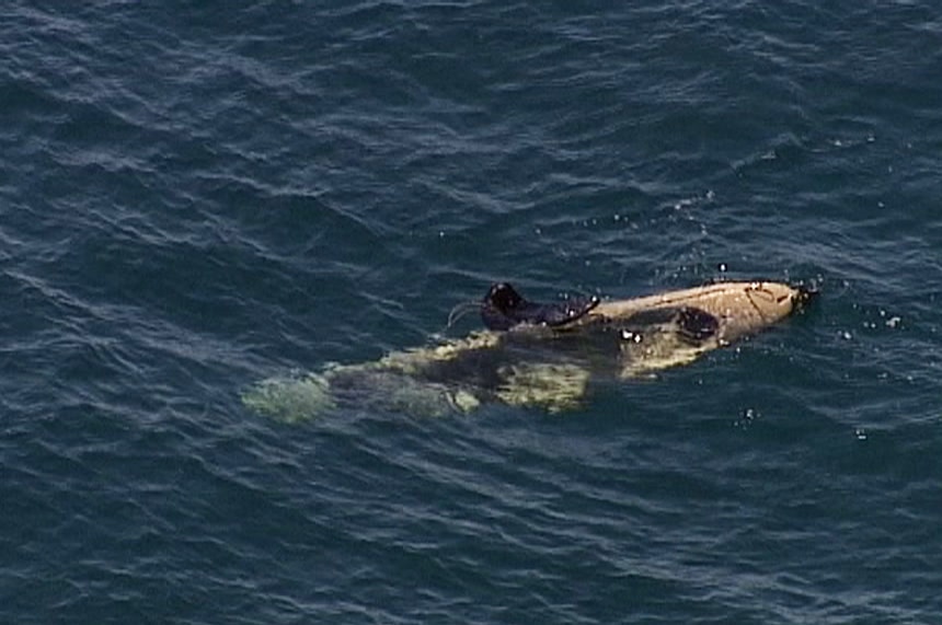 An aerial photo of a half-submerged kayak.