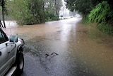 High water: two were rescued in Murwillumbah overnight.