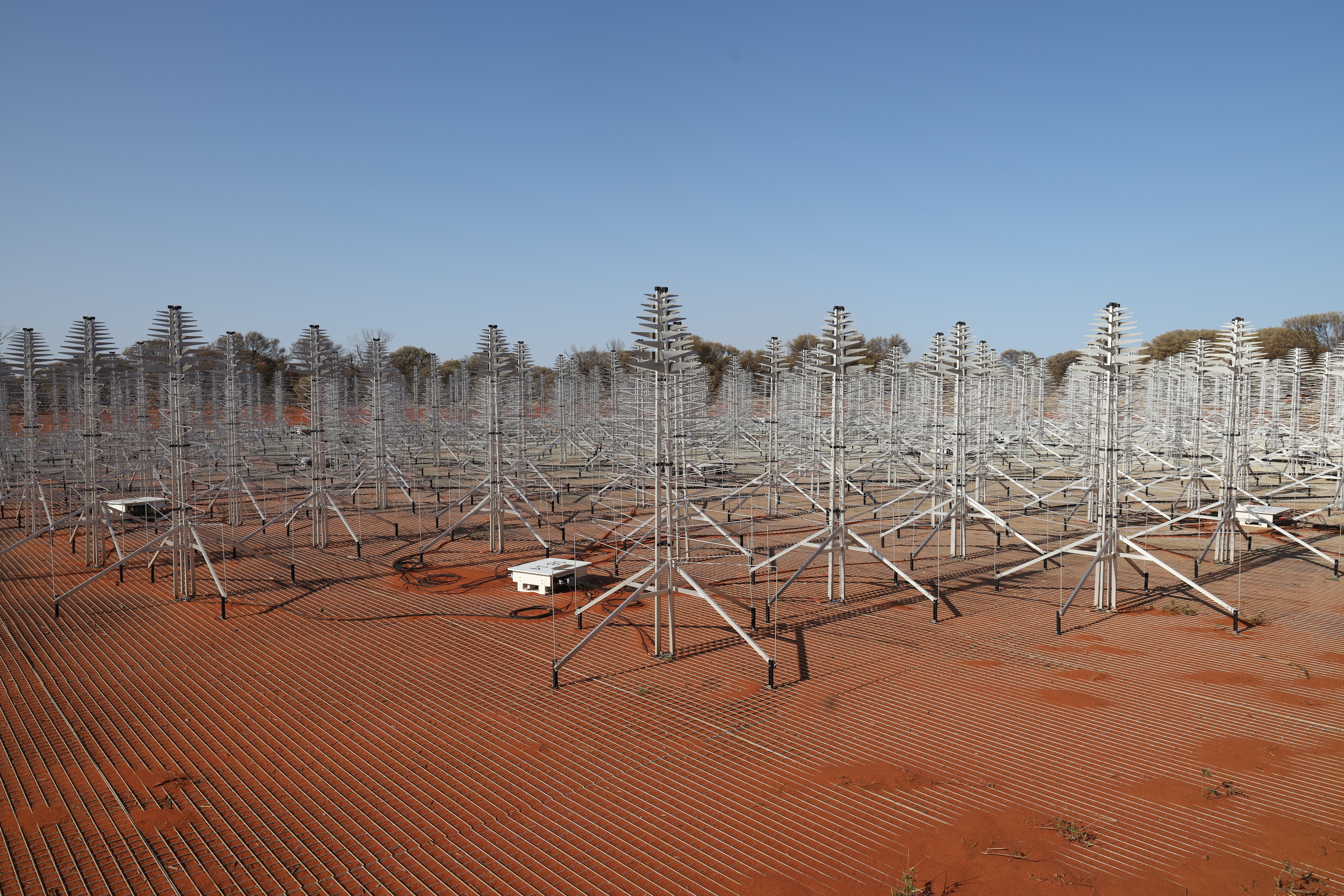 Christmas-tree-shaped antennas in a grid formation in the desert.