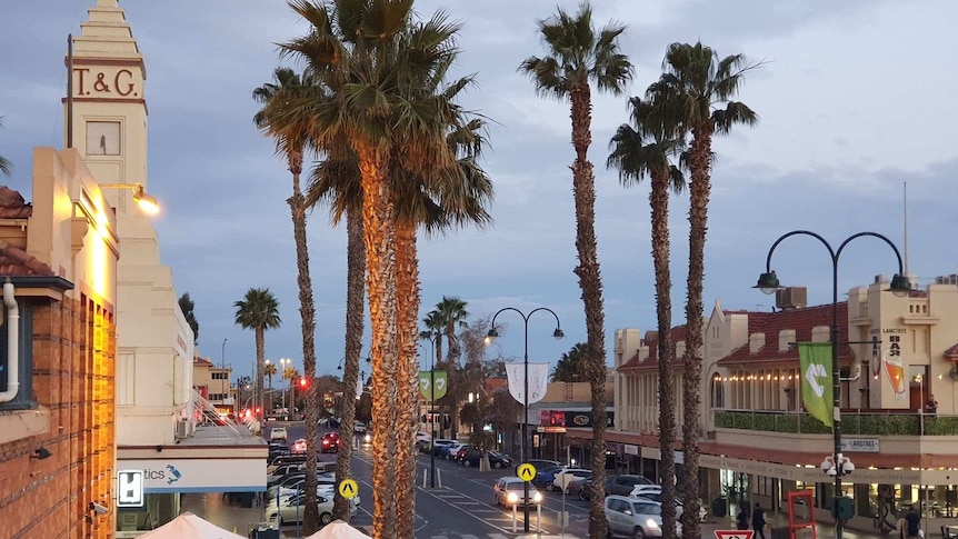 an elevated shot of the Mildura CBD at dusk with palm trees and the T&G bulding in the skyline