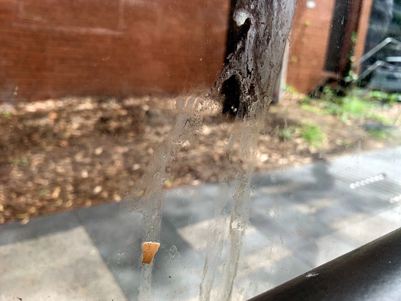 Egg shell and egg residue on the wall of a bus shelter
