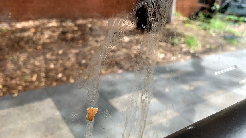 Egg shell and egg residue on the wall of a bus shelter