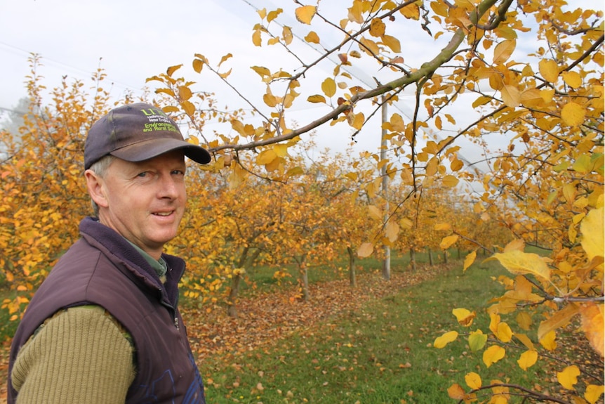 A man wearing a cap smiles. He is in an orchard.