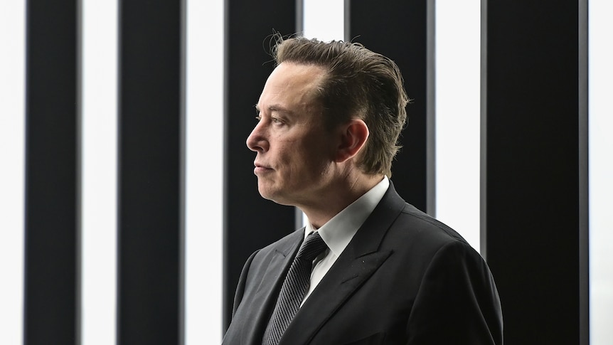 Side profile of Elon Musk wearing a neutral, if pensive, expression