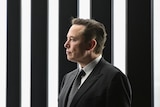 Side profile of Elon Musk wearing a neutral, if pensive, expression