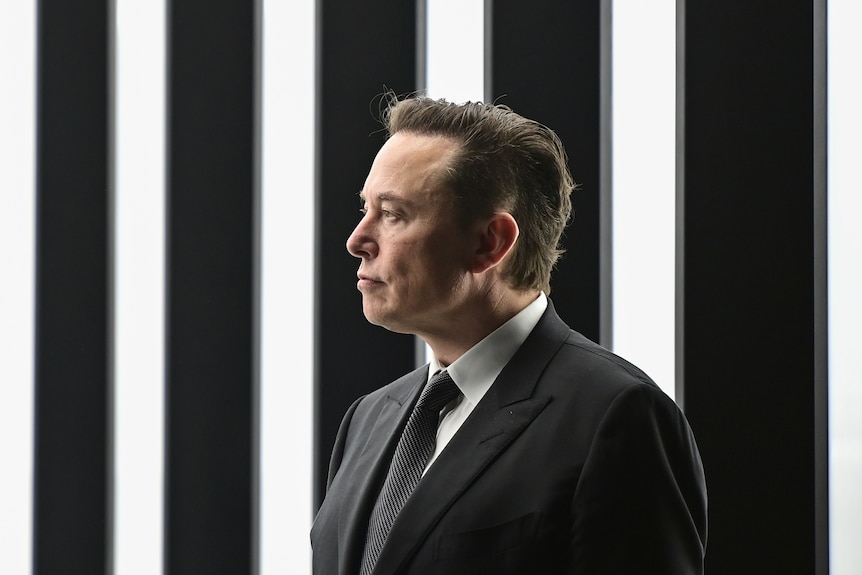Side profile of Elon Musk 