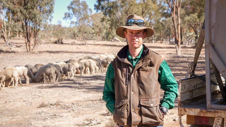 Farmer Matt Bartlett on his property near Warwick in June 2019, in front of a line of sheep being fed.