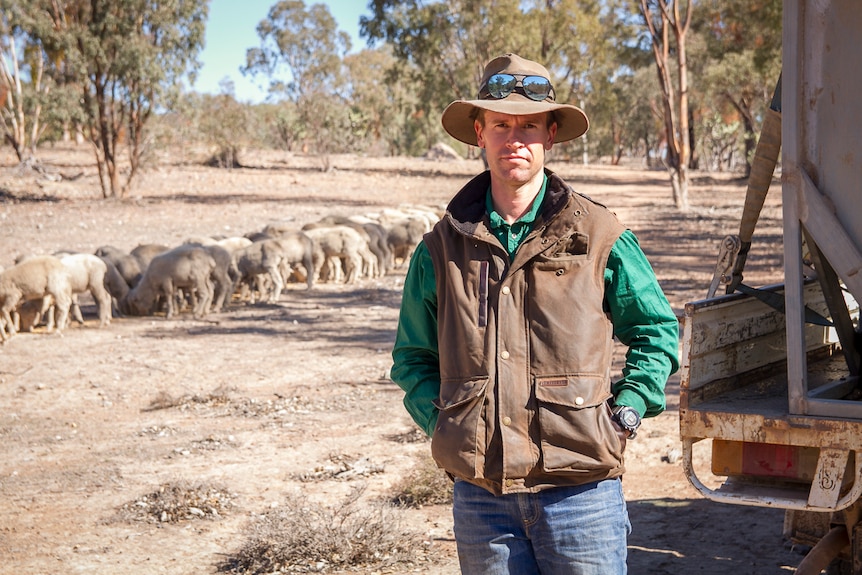 Farmer Matt Bartlett on his property near Warwick in June 2019, in front of a line of sheep being fed.