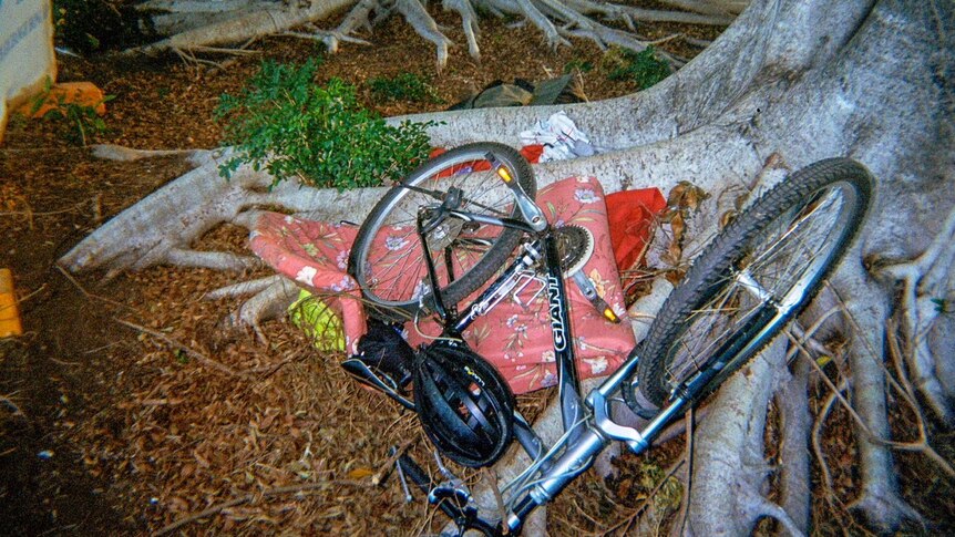 Bike at the base of a tree.