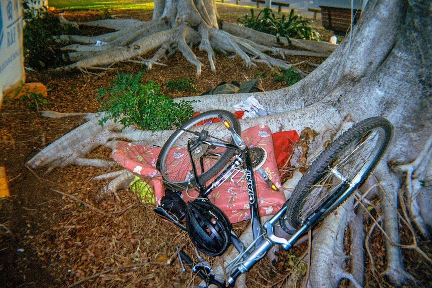 Bike at the base of a tree.