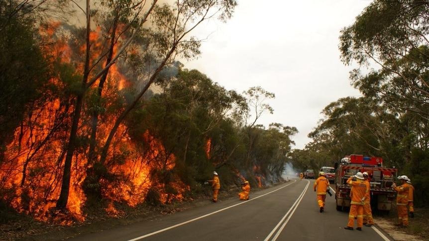 Firefighters battle a blaze north of Sydney yesterday.