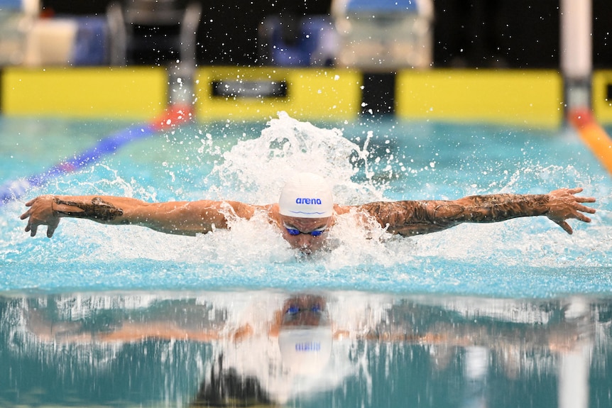 Kyle Chalmers swims butterfly