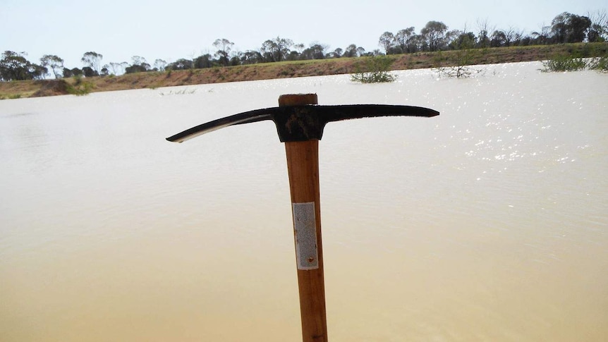 Rain at the fossil dig site near the town of Richmond has exposed new Cretaceous-era fossils