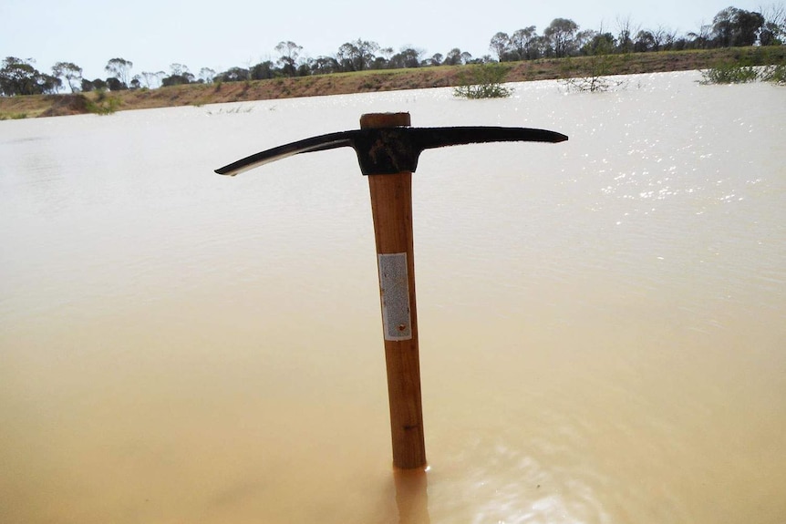 Rain at the fossil dig site near the town of Richmond has exposed new Cretaceous-era fossils