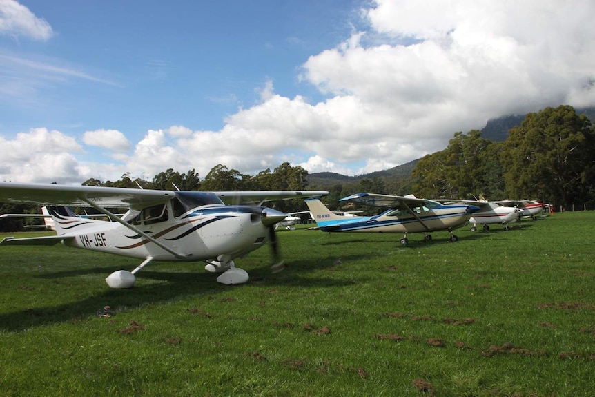 Cessnas 182's lined up at the annual Cessna Assocation bi-annual fly-in in Tasmania March 13, 2016