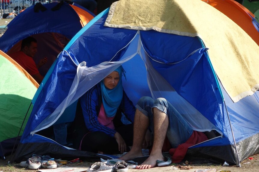 Asylum seekers camp in Belgrade