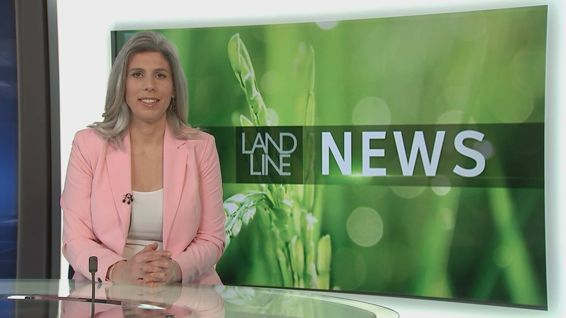 Kath Sullivan Abc News