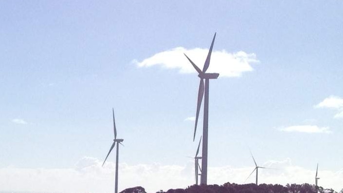 Wind turbines at Musselroe Bay starts putting power into the grid.