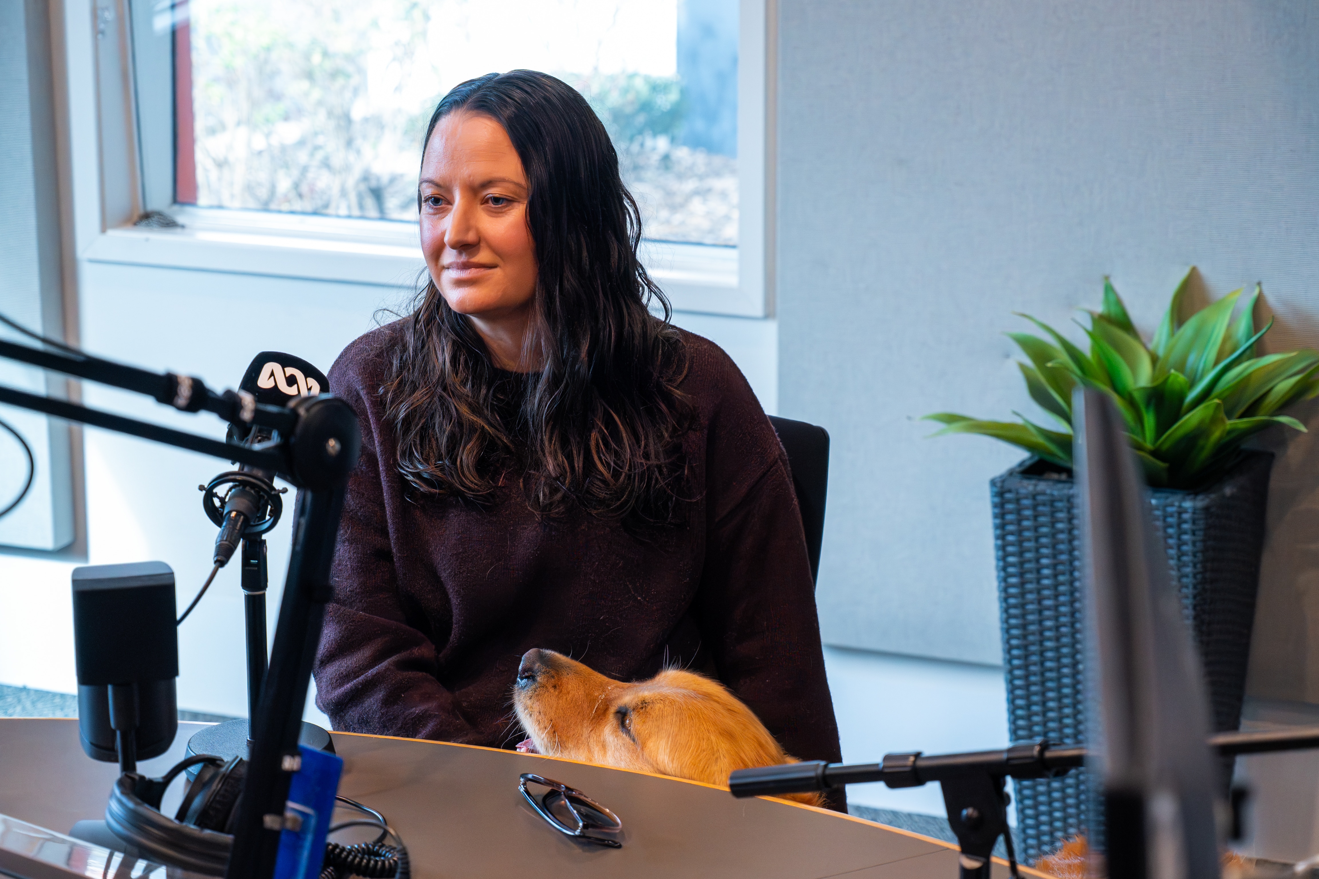 A woman patting a dog under a desk in a radio studio.
