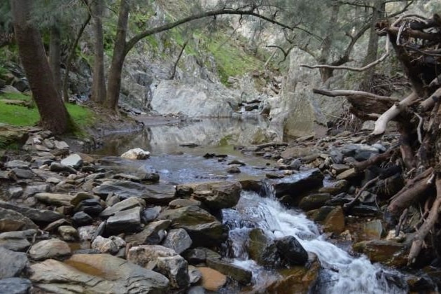 A pic of a creek with gushing water.