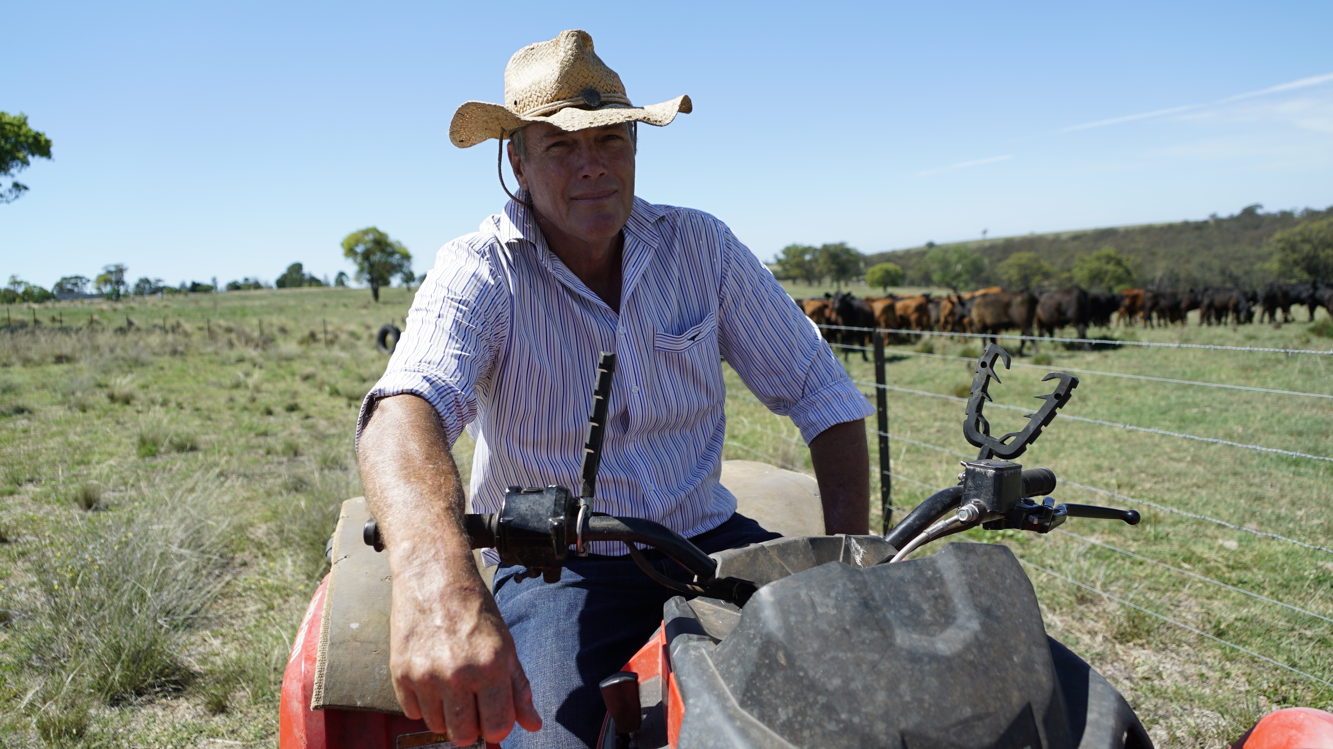 Farmer sitting on a tractor in a field with cattle behind him.