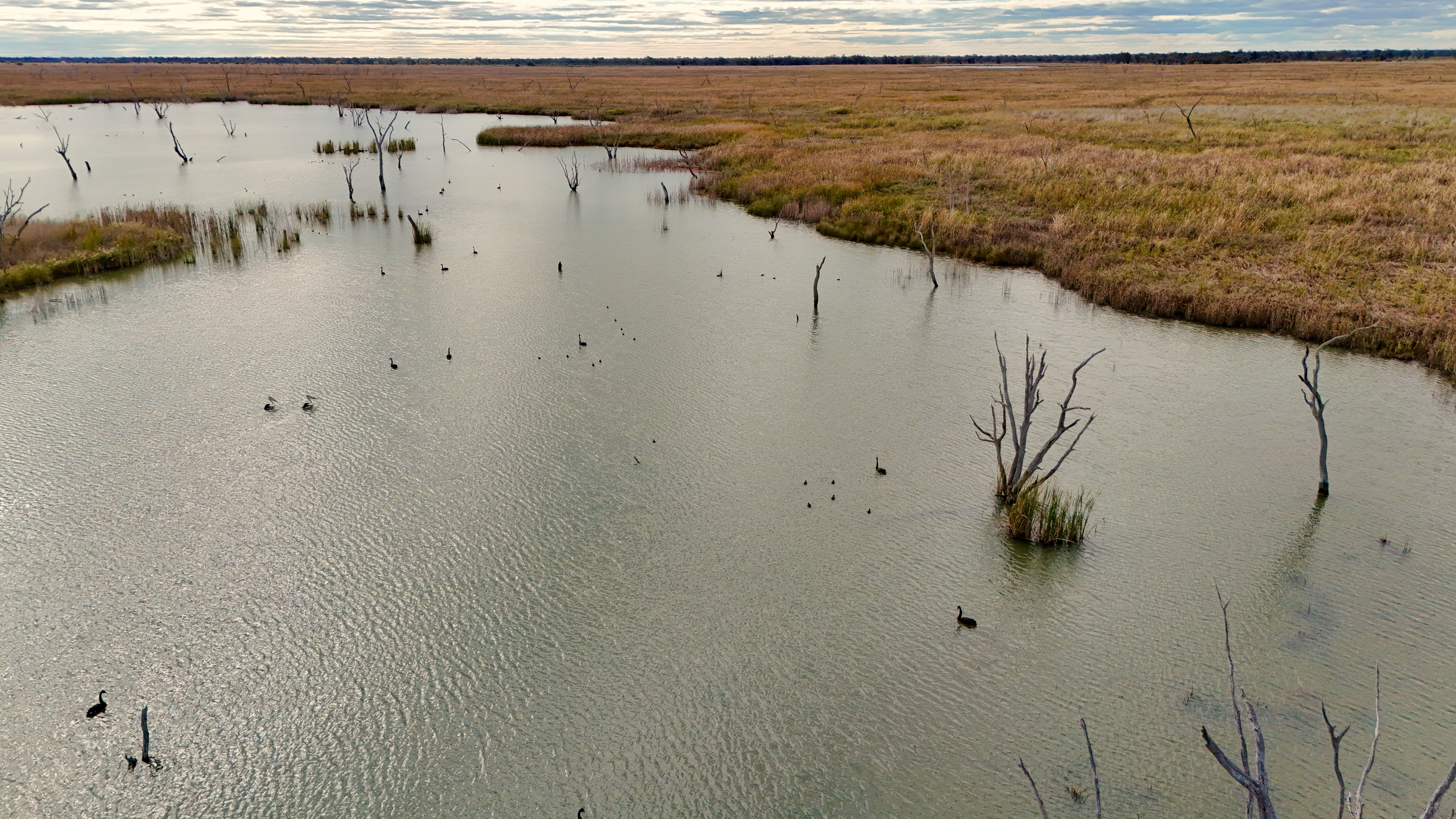 Una vista aérea de un humedal.