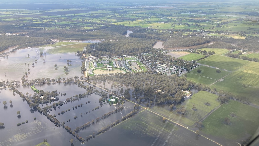 A photo taken from an aeroplane of floodwater covering paddocks and parts of the town of Moama.