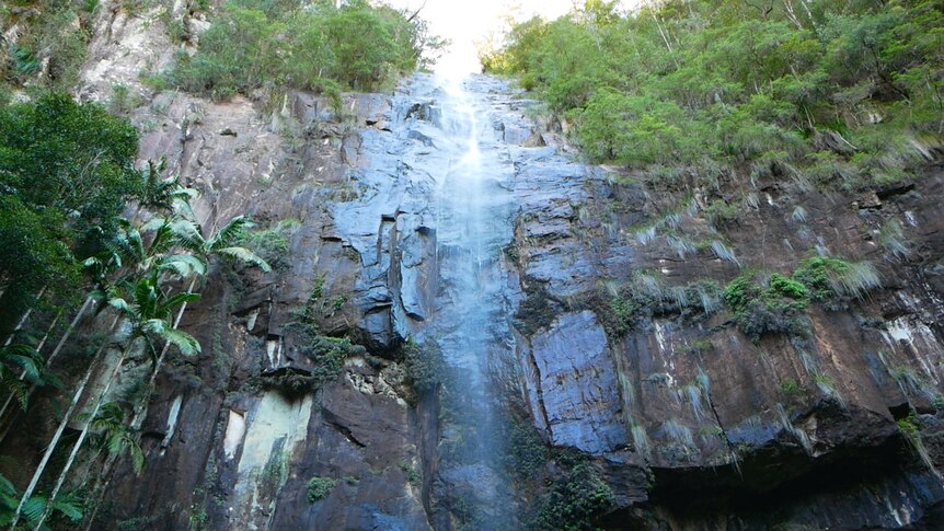 A large waterfall down a sheer, rocky cliff, surrounded by rainforest.