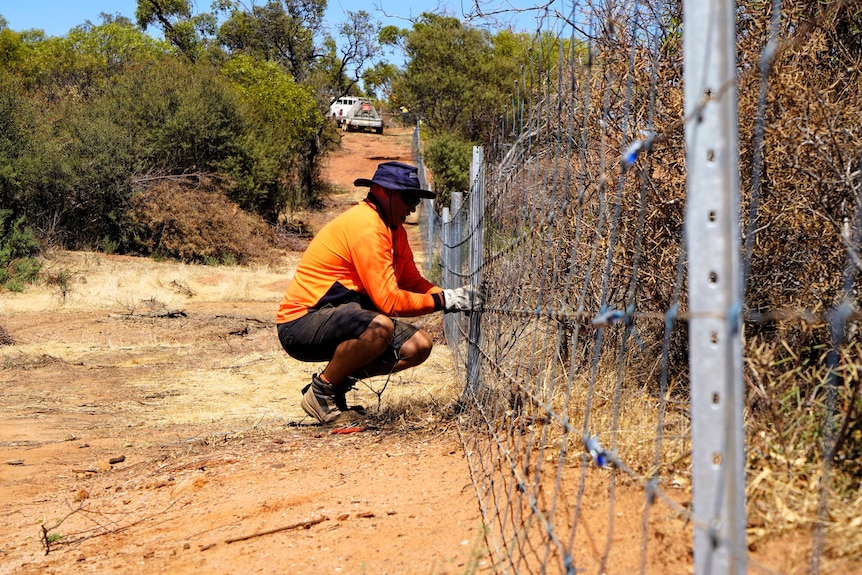 A man building a wire fence.