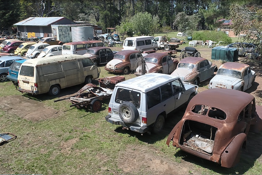 Lines of cars in a paddock, many of which are rusty and of various makes and models.