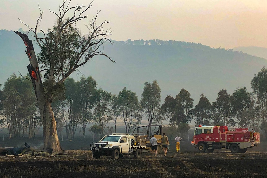 A CFA truck, a 4WD and a bulldozer in a burnt out paddock, with three men looking on, a tree is still burning.