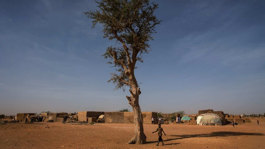 A small child in Mali walks past a large tree with sparse structures in the background of the desert.