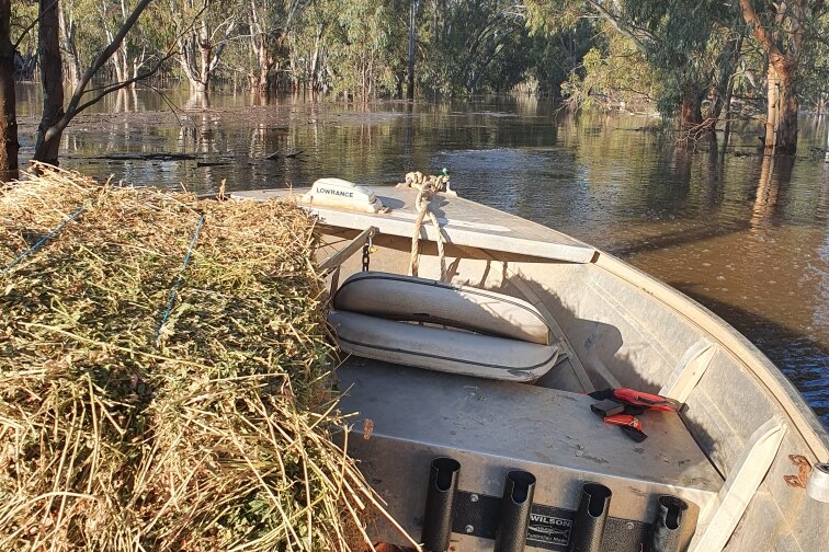 A small boat loaded with hay traverses flooded water, with trees visible ahead