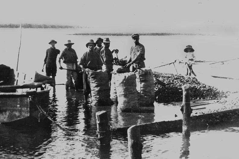 Black and white photo showing six men and a child on a jetty with large sacks filled with oysters.