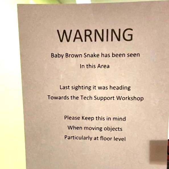A warning to staff at the ABC's Adelaide offices at Collinswood after a snake sighting. 