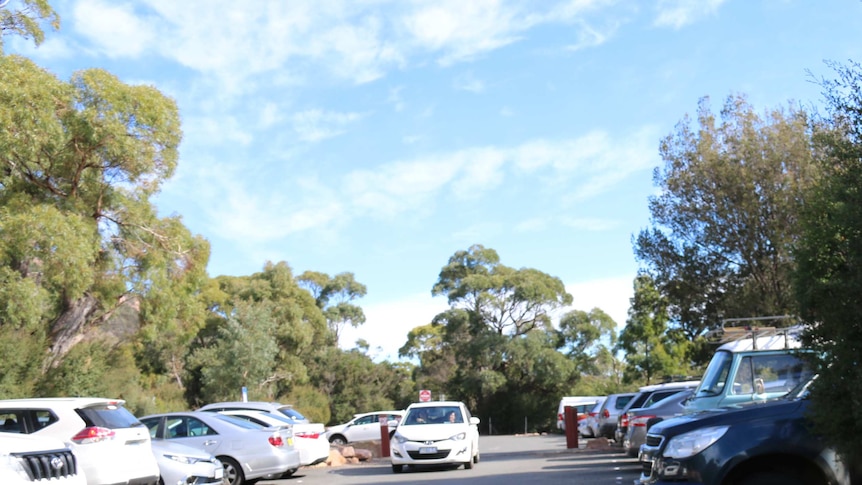 car park Wineglass Bay.