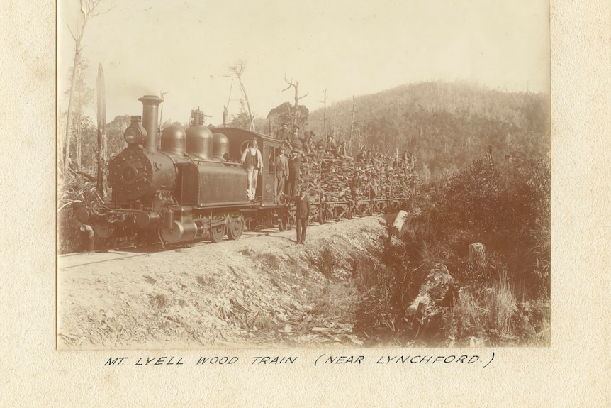 Un vieux train sur la côte ouest de la Tasmanie transportant du bois. 